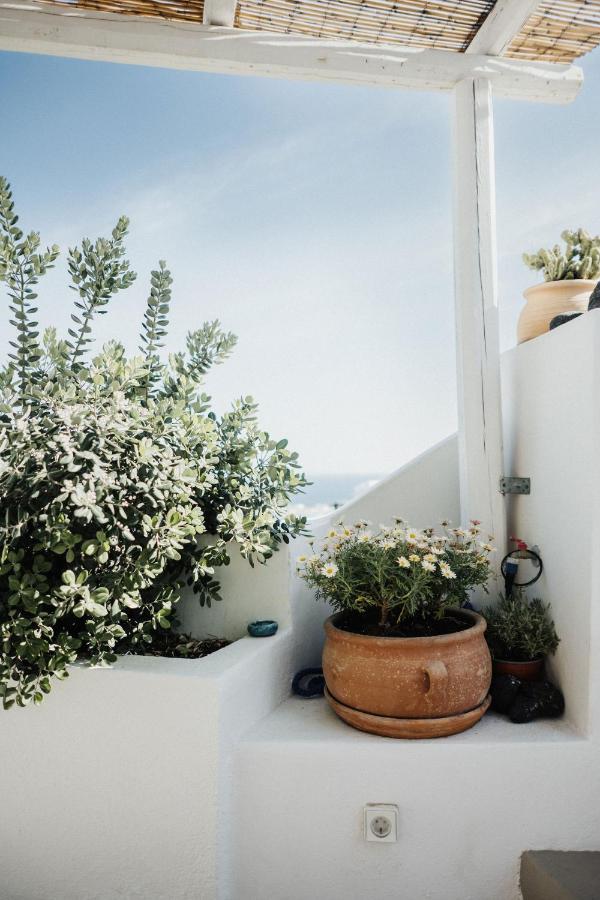Vila Kalyva Cycladic House - Oía Exteriér fotografie